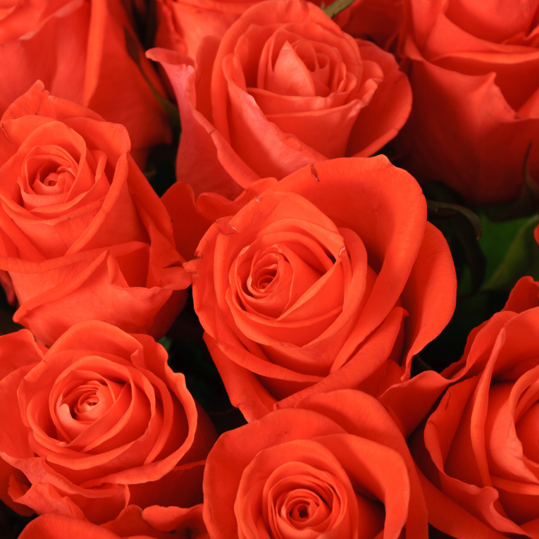 Букет 35 роз Вау