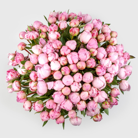 Букет из пионов 101 мгновение любви