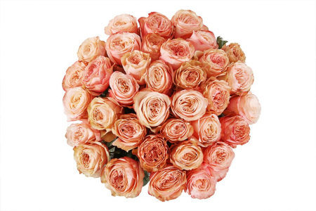 Букет 35 пионовидных роз Кахала