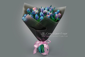 Букет из 25 тюльпанов Галактика