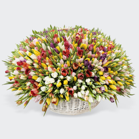 Букет 2001 тюльпан в корзине