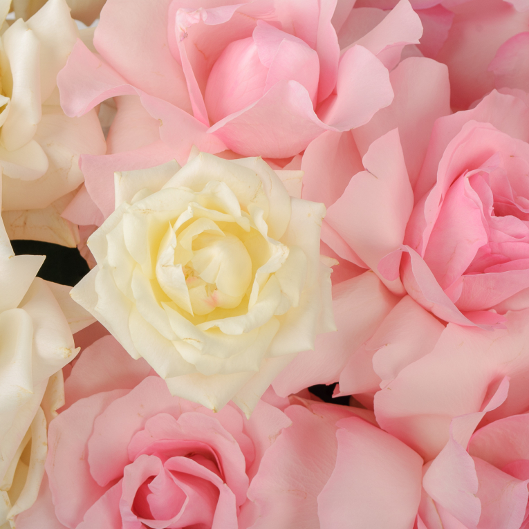 Комплект Параллели чувств