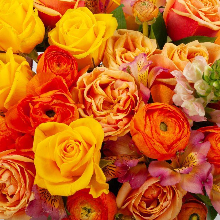 Букет в коробке Полет к солнцу