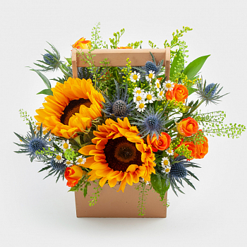 Букет в кашпо Солнечное утро