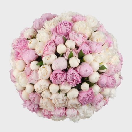 Букет 101 пион Мечта под облаками