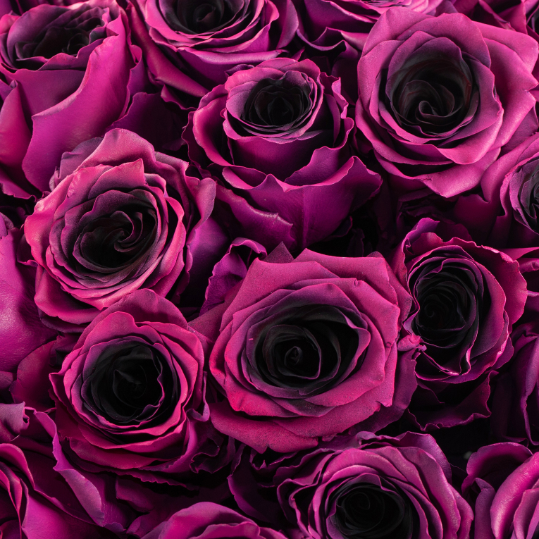 Букет 101 роза Одна любовь