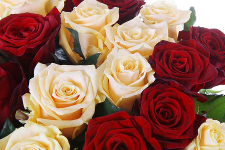 Букет 21 роза микс