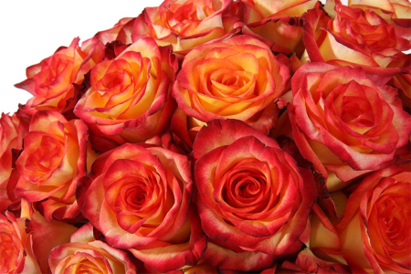 Композиция Пламенное сердце в коробке