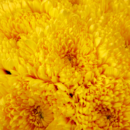 Букет в коробке Пиратское золото