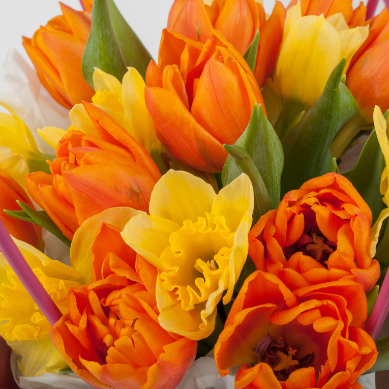 Букет в коробке Лучистое настроение