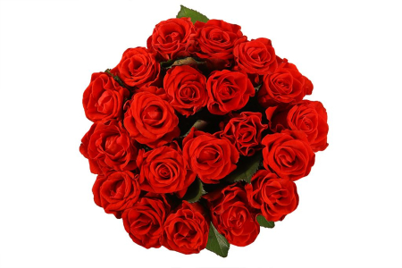 Букет 21 красная роза, 50 см
