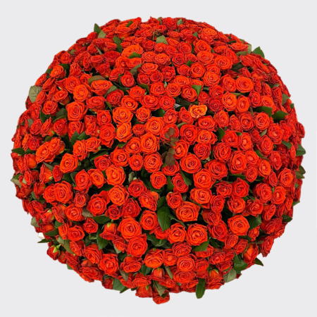 Корзина роз 501 причина любить