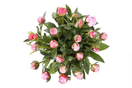 Букет из пионов Дамское счастье