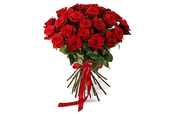 Букет из 25 красных роз Фридом