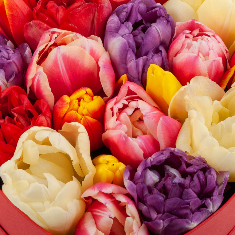 Композиция из тюльпанов Весенняя любовь