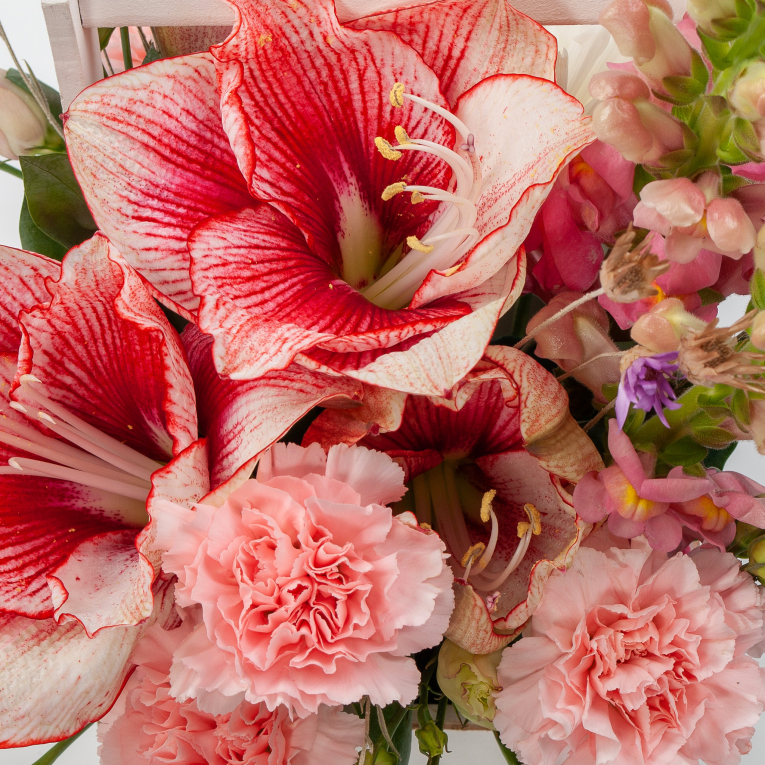 Букет в кашпо Малиновый свет