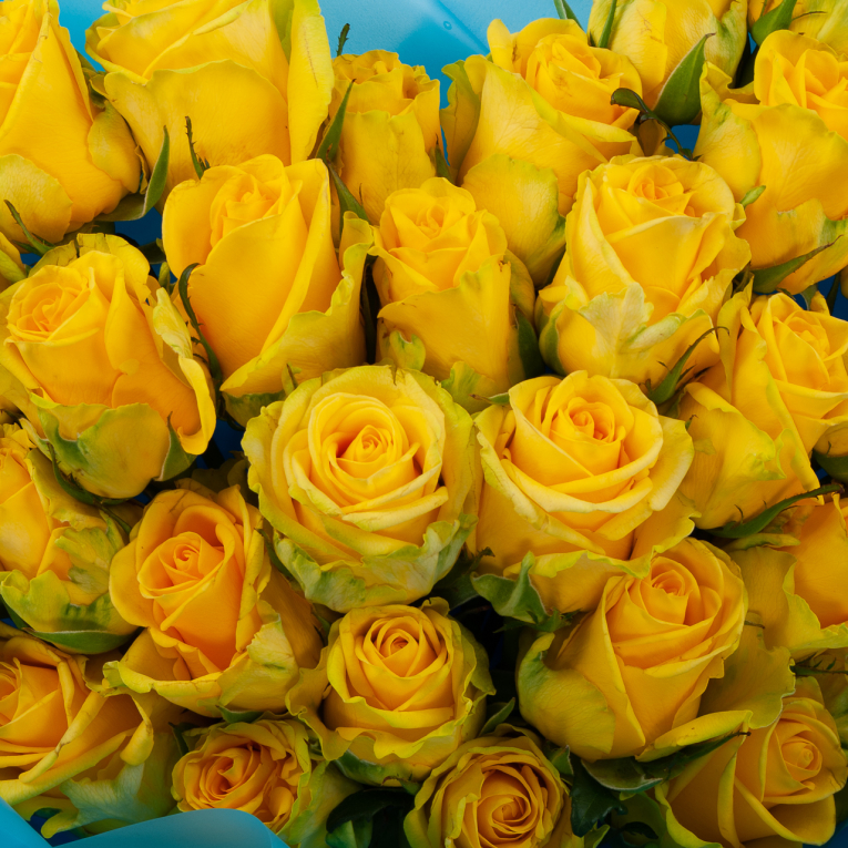 Букет из 35 роз Сияние солнца