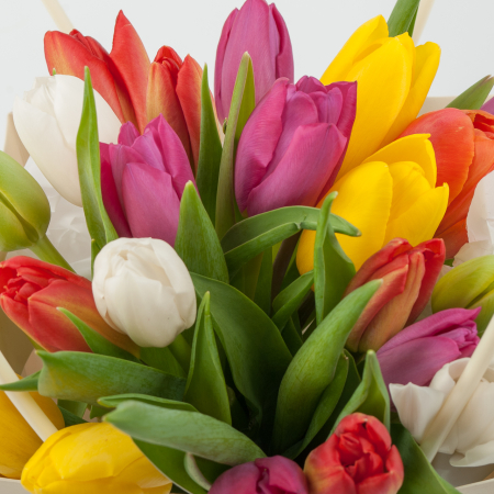 Тюльпаны в коробке Радужное настроение (25 шт)