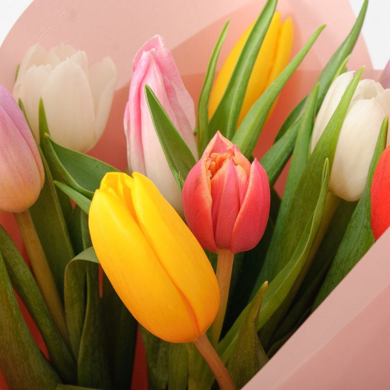 Букет 9 тюльпанов микс