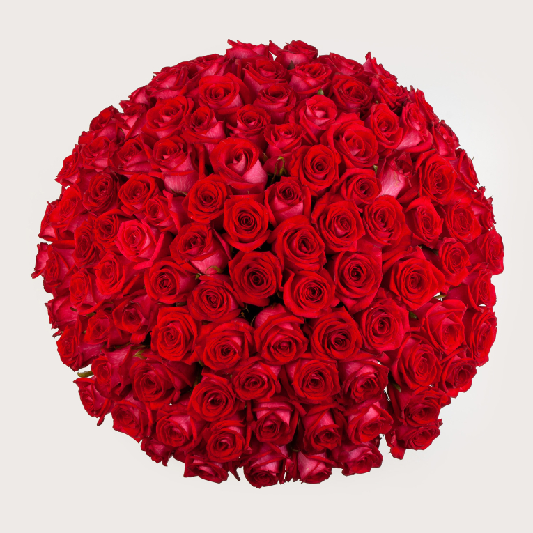 Букет из 101 розы Глаза в глаза