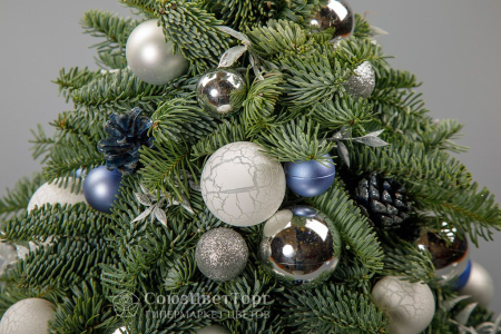 Композиция в кашпо Снежная ель