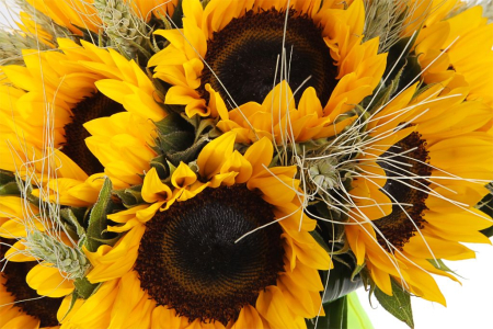 Букет с подсолнухами Александр