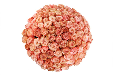 Букет 101 пионовидная роза Кахала