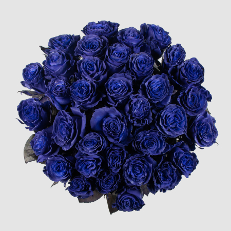 Букет 35 роз Синее озеро