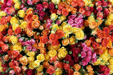 Букет 251 поцелуй в корзине