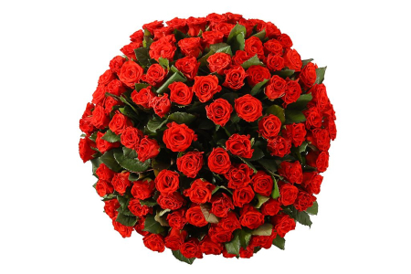 Букет 101 красная роза, 60 см