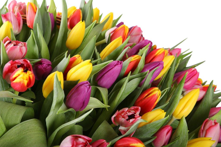 Букет Город ангелов