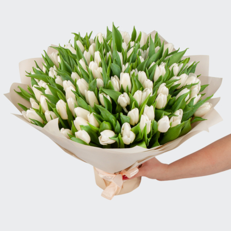 Букет 101 тюльпан Белое облако