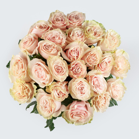 Букет 25 роз Пинк Мондиаль (Эквадор), 70 см