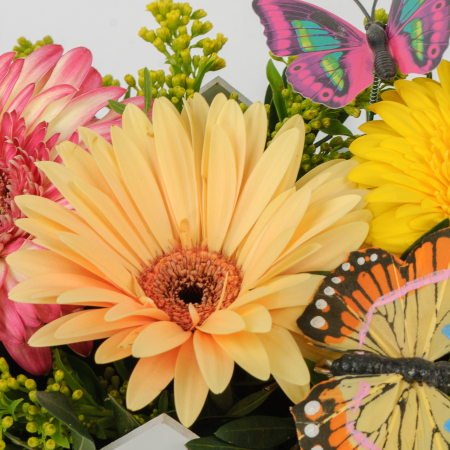 Композиция Метаморфозы знаний