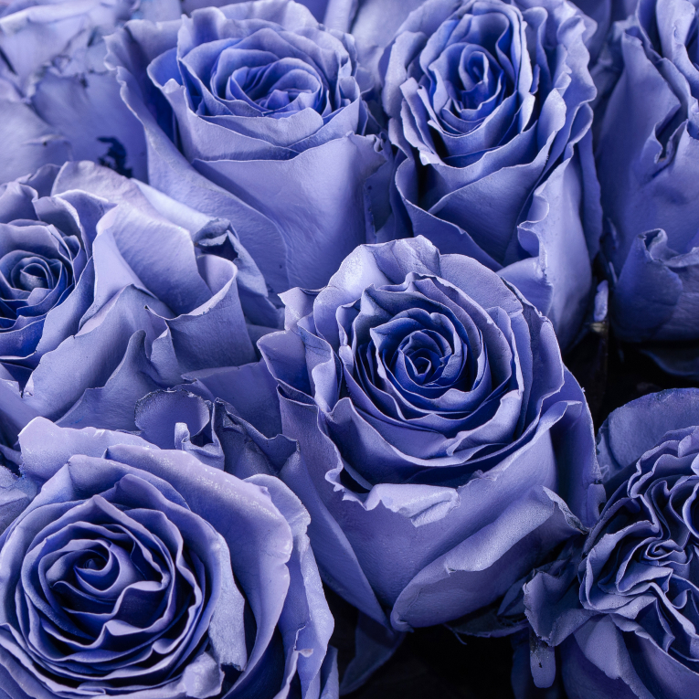 Букет 35 роз Сердце океана