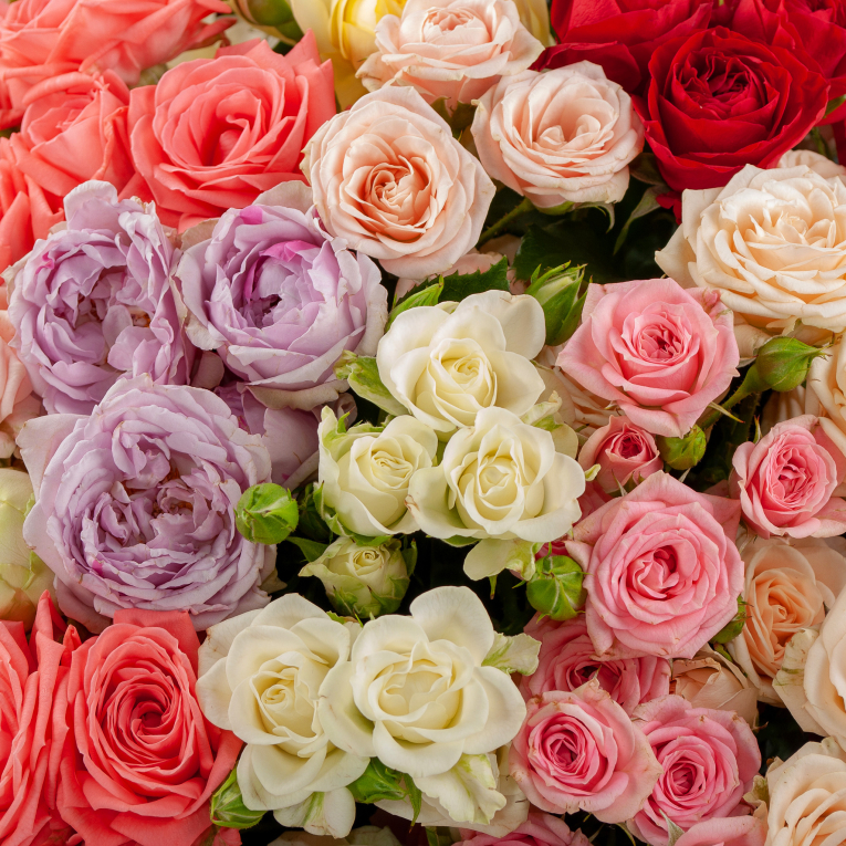 Букет из 35 роз Палитра чувств