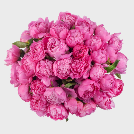 Букет 35 пионов Малиновый рай