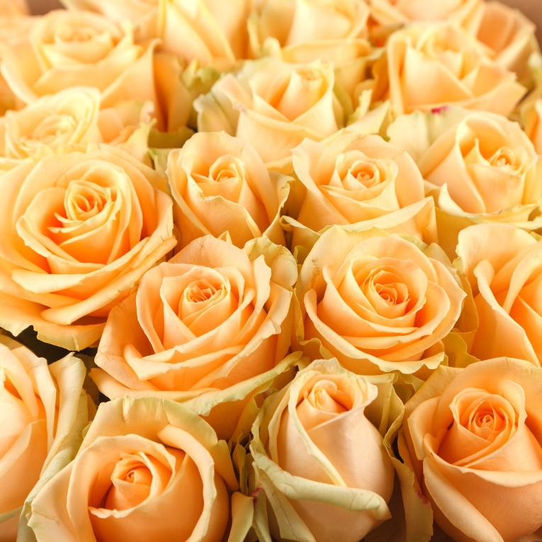 Букет из 35 роз Моя судьба