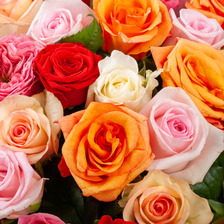 Букет из 51 розы Волшебный сон (40 см)