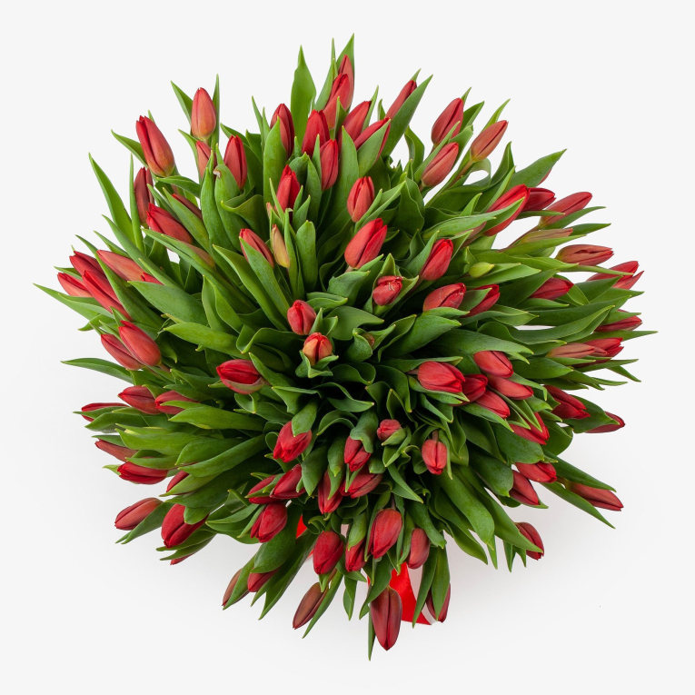 Букет 101 тюльпан Алое солнышко