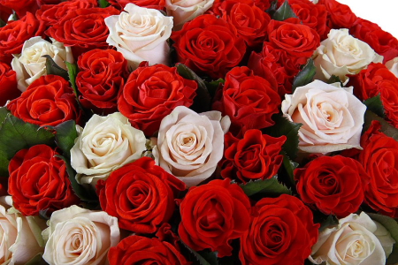 Букет 101 роза микс