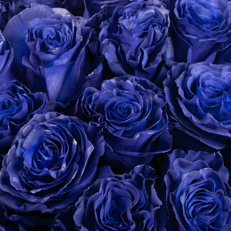 Букет 35 роз Синее озеро