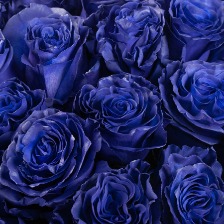 Букет 35 роз Синее озеро