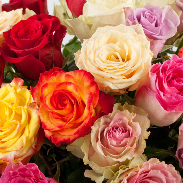 Букет Фламандская легенда (35 роз) + Десерт в ПОДАРОК!