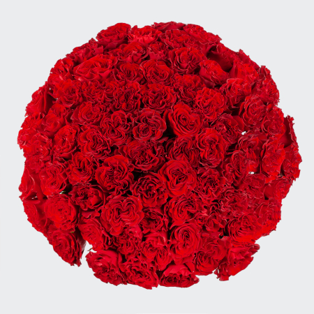 Букет 75 роз Хартс (Эквадор), 60 см