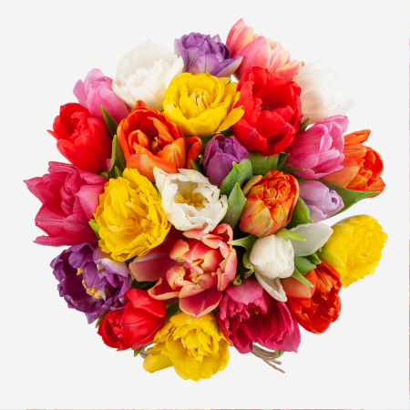 Букет в коробке Цветная акварель (25 тюльпанов)