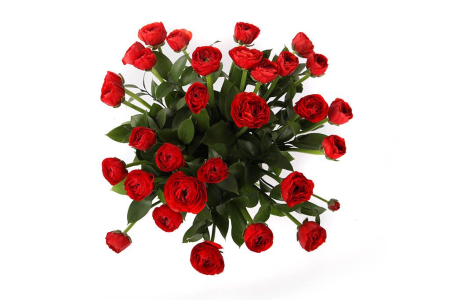 Букет из 31 ранункулюса Красная Шапочка