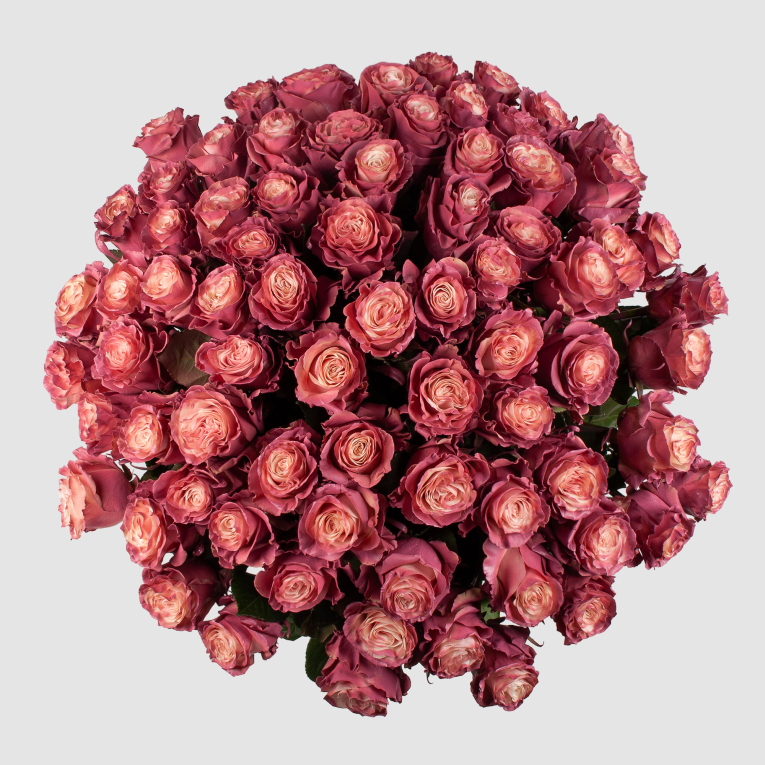 Букет 75 роз Кипение чувств