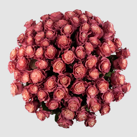 Букет 75 роз Кипение чувств