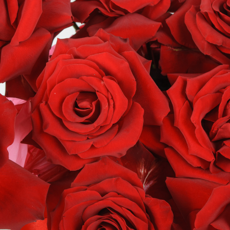 Букет в коробке Пылающая любовь